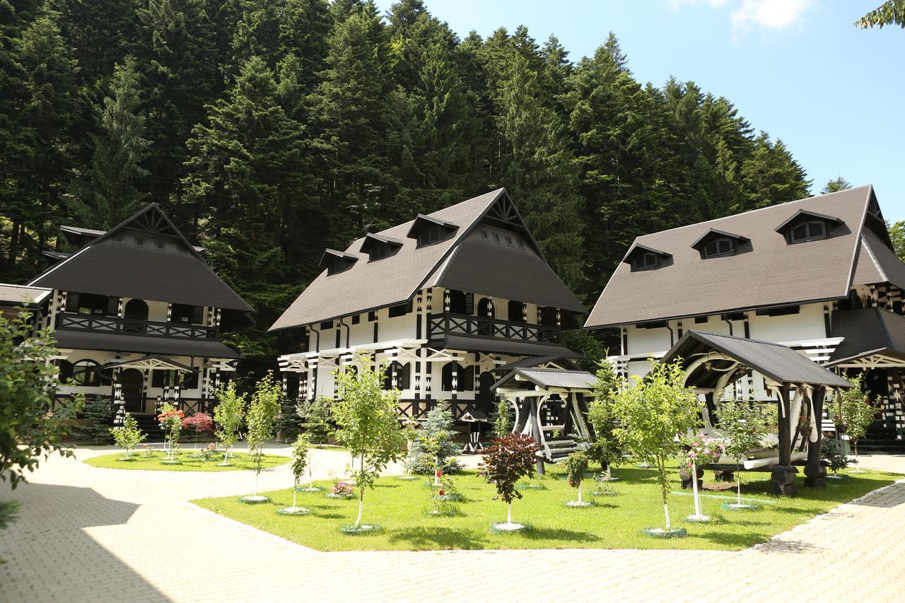 Hotel Complex Lions Bucovina à Voroneț Extérieur photo